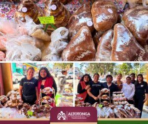 ¡Altotonga se transforma! El talento joven toma las riendas del turismo local