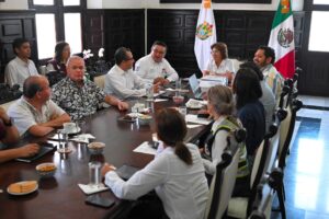 Alianza por el desarrollo: Rosa María Hernández Espejo coordina acciones con CFE para fortalecer la infraestructura en Veracruz