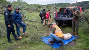 El video aborda el trágico caso de Kenso, un tigre de Bengala de 150 kg que escapó de un refugio privado en Tepetlaoxtoc, Estado de México, el 27 de junio