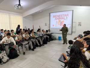 Conocer y respetar a los animales también se aprende desde niños.